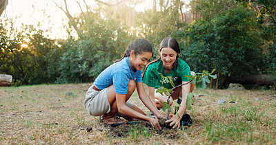 Buy stock photo People, volunteer and planting trees with smile for sustainability, environment and Earth Day project. Happy, women or support for community service, eco friendly activity and plants growth in nature