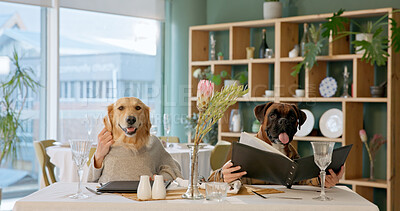 Buy stock photo Date, menu and portrait of dogs in restaurant for dinner service, romance and animal loyalty. Fine dining, celebration and relationship with couple for pet friendly cafeteria, comic and bonding