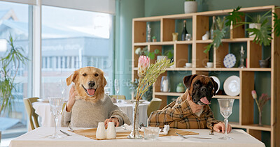 Buy stock photo Date, love and portrait of dogs in restaurant for dinner service, romance and animal loyalty. Fine dining, celebration and relationship with couple for pet friendly cafeteria, comic and bonding