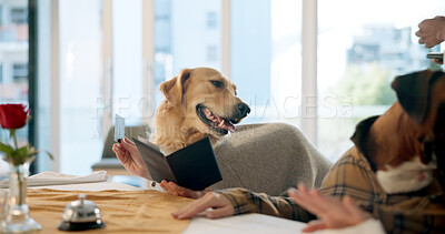 Buy stock photo Payment, menu and dog with card, restaurant and waiting for receipt, animal friendly and customer service. Comic, consumer and pets with credit for purchase, hospitality and humor of order in diner