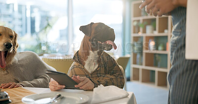 Buy stock photo Dog, waiter and menu with service for food, hospitality or order at fine dining table. Pet, humor or accommodation with list, meal or comic for animal care, paying bill or purchase at restaurant