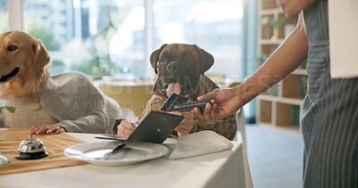 Buy stock photo Restaurant, credit card and dogs at table to pay for dinner, lunch and waiting for service with waiter. Fine dining, hospitality and pets with server for order, receipt or menu for animal celebration
