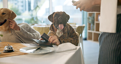 Buy stock photo Waiter, order and dogs with card, restaurant and payment for meal, animal friendly and customer service. Hospitality, comic and pets with menu for humor, portrait and person with tech in business