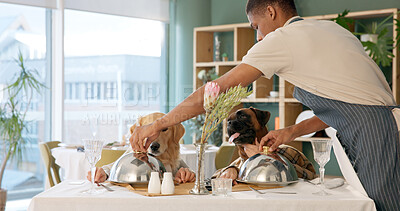 Buy stock photo Dog, waiter and food with service for hospitality experience or order at dinner table. Pet, person or accommodation with list, meal or fine dining for animal care, date or comic serving at restaurant