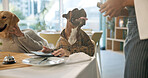 Dog, food and waiter with menu for catering service, animal cuisine or order at canine restaurant. Pet customer, lunch or meal with brochure for dinner, snack time or hungry companion at dining table