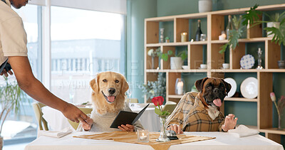 Buy stock photo Restaurant, food and dogs at table with menu for dinner, lunch and waiting for service with waiter. Fine dining, hospitality and pets with server for order, options and choice for animal celebration