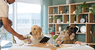 Buy stock photo Restaurant, credit card and dogs at table for payment for dinner, lunch and waiting for service. Fine dining, hospitality and pets with waiter for order, receipt and menu for animal celebration