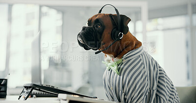 Buy stock photo Dog, agent and call center with headset for pet care, service or animal advice at office. Canine, consultant and mic with technology for vet consultation, puppy health or shelter plan at workplace