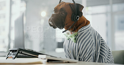 Buy stock photo Dog, consultant and call center with headset for pet care, service or animal advice at office. Canine, agent and mic with technology for vet consultation, puppy health or shelter plan at workplace