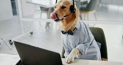 Buy stock photo Dog, laptop and call center with headset for pet insurance, service or online advice at office. Canine, agent and mic with technology for vet consultation, animal health or assistance at workplace