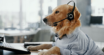 Buy stock photo Dog, consultant or call center with headset at office for animal care, pet insurance or online service. Profile, agent or canine with mic for vet consultation, help or virtual assistance at workplace