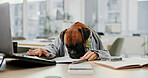 Dog, office and tired animal at laptop by desk while writing, overworked and burnout. Boxer, pet friendly workplace and typing notes on technology for comic or funny work environment with breed 
