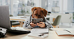 Office, dog and animal on phone at desk while typing, online and reading email. Labrador, pet friendly workplace and technology with internet communication for comic or funny work environment