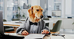 Document, reading and consultant with business dog in office for pet insurance agent, health premium and advisor. Veterinary claims broker, paperwork and animal policy with golden retriever in agency