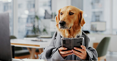 Buy stock photo Phone, research and professional with business dog in office for pet insurance agent, health premium and advisor. Veterinary claims broker, mobile and animal policy with golden retriever in agency