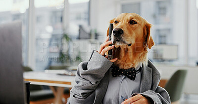 Buy stock photo Phone call, planning and consultant with business dog in office for pet insurance agent, health premium and advisor. Veterinary claims broker, contact and animal policy with golden retriever