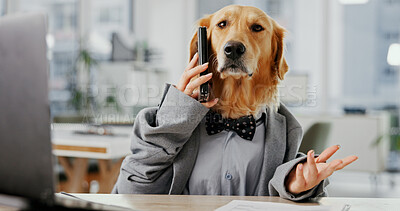 Buy stock photo Phone call, portrait and business dog in office for pet insurance agent, health premium and consultant advisor. Veterinary claims broker, question and animal policy with golden retriever for contact