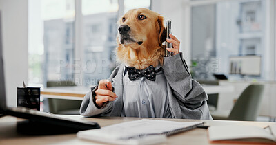Buy stock photo Phone call, planning and research with business dog in office for pet ambassador, contact and consultant. Animal welfare, communication and schedule vet appointments with golden retriever in agency