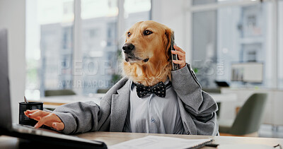 Buy stock photo Phone call, laptop and research with business dog in office for pet ambassador, contact and consultant. Animal welfare, communication and schedule vet appointments with golden retriever in agency