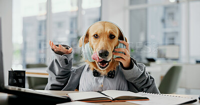 Buy stock photo Office, animal and dog with headphones for music, mimic dancing and companion in portrait on break. Business, puppy and golden retriever in pet agency with audio track, sound and cosplay with humor