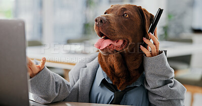 Buy stock photo Laptop, phone call and problem solving with business dog in office for administration, conversation or research. Communication, computer and humor with labrador employee in workplace for management
