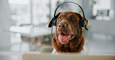 Buy stock photo Dog, headset and consulting for customer support at call center, listening and mic at pet insurance agency. Comic animal, labrador and headphones with voip, contact us and pc at help desk in office