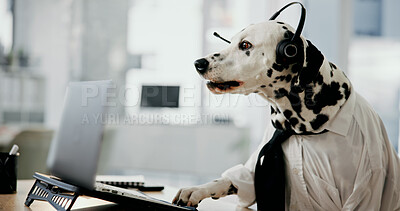 Buy stock photo Dog, headphones and consulting for customer support at call center, computer and mic at pet insurance agency. Animal, dalmatian and laptop with voip, contact us and listening at help desk in office