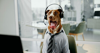 Buy stock photo Dog, headphones and consulting for customer service at call center, computer and yawn with fatigue at workplace. Animal, pit bull and headset with burnout, tired and comic at help desk in office