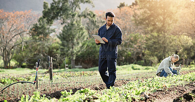Buy stock photo Farm, tablet and plant with man in nature for agriculture, eco field research or crop yield forecast. Sustainability specialist, growth or environment with person in countryside for soil pH sensor
