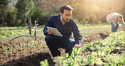 Buy stock photo Man, farmer and tablet with crops for agriculture, agro business or natural conservation on farm. Male person, agribusiness or harvest with technology for organic production, plant growth or farmland