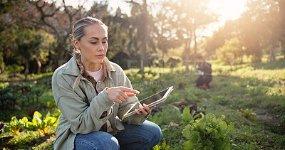 Buy stock photo Farm, tablet and inspection with woman in nature for environment, plant field research or crop yield forecast. Sustainability, growth or agriculture with person in countryside for soil ph sensor
