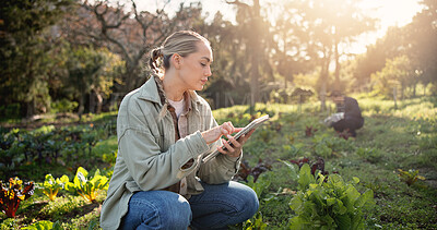 Buy stock photo Woman, farmer or tablet with crops for agriculture, agro business or natural conservation on farm. Female person, agribusiness or harvest on technology for organic production, plant growth or ecology