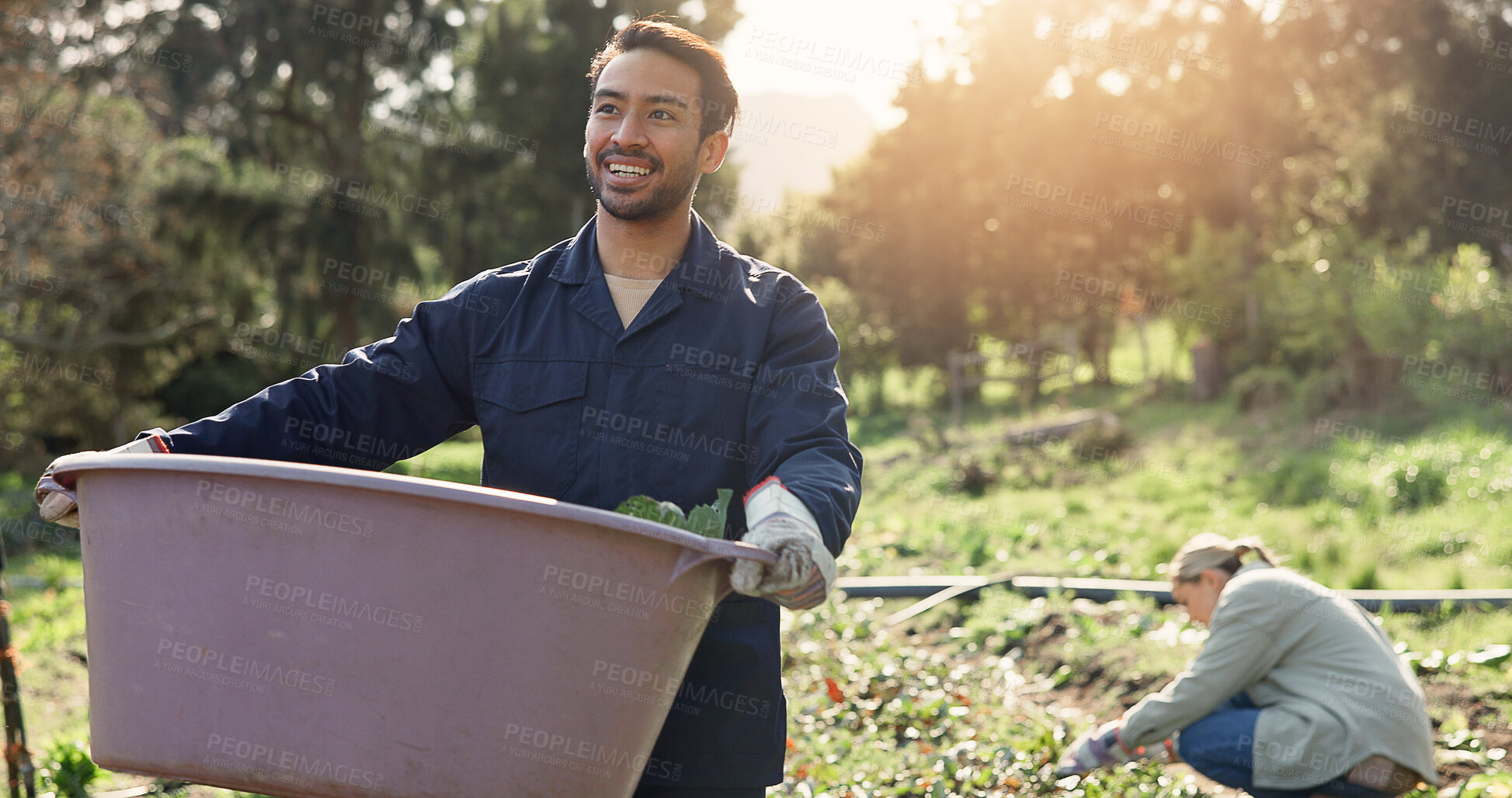 Buy stock photo Farming, bucket and man farmer with harvest for agribusiness with organic produce planting. Sustainable, outdoor and male person working on eco friendly crop rotation in countryside environment.