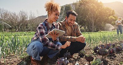 Buy stock photo Farming, tablet or team by crops for inspection, development or quality assurance for sustainable business. Woman, man or technology by cabbage plant for growth, planning or checklist for agriculture