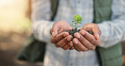 Buy stock photo Closeup, hands and plant with soil for growth, sustainability and eco friendly for earth day. Agriculture, farmer and person with green leave for support, accountability and organic farming in nature