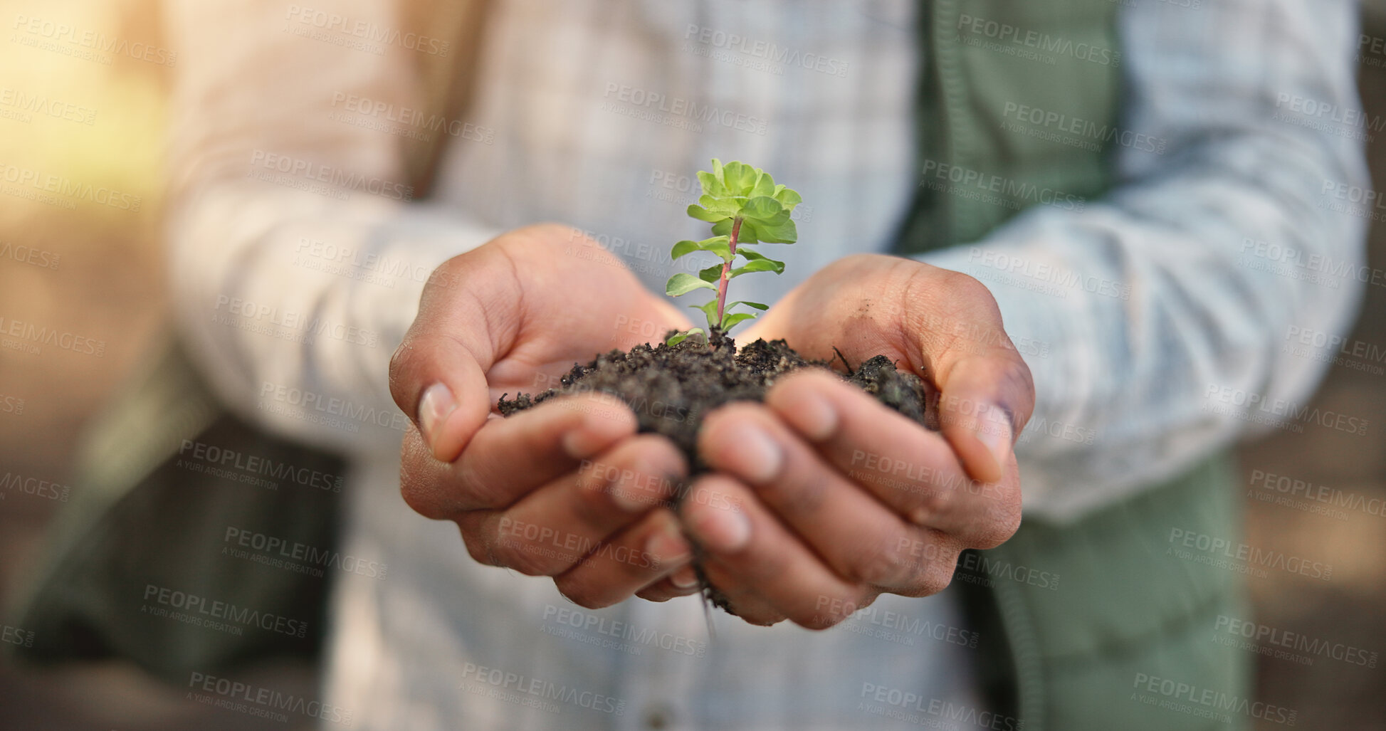 Buy stock photo Closeup, hands and plant with soil for sustainability, growth and eco friendly for earth day. Agriculture, farmer and person with green leaves for support, accountability or organic farming in nature