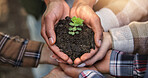 Closeup, hands and plants with people for growth, sustainability and eco friendly for earth day. Above, farmers and teamwork with green leaves for support, accountability or organic farming in nature