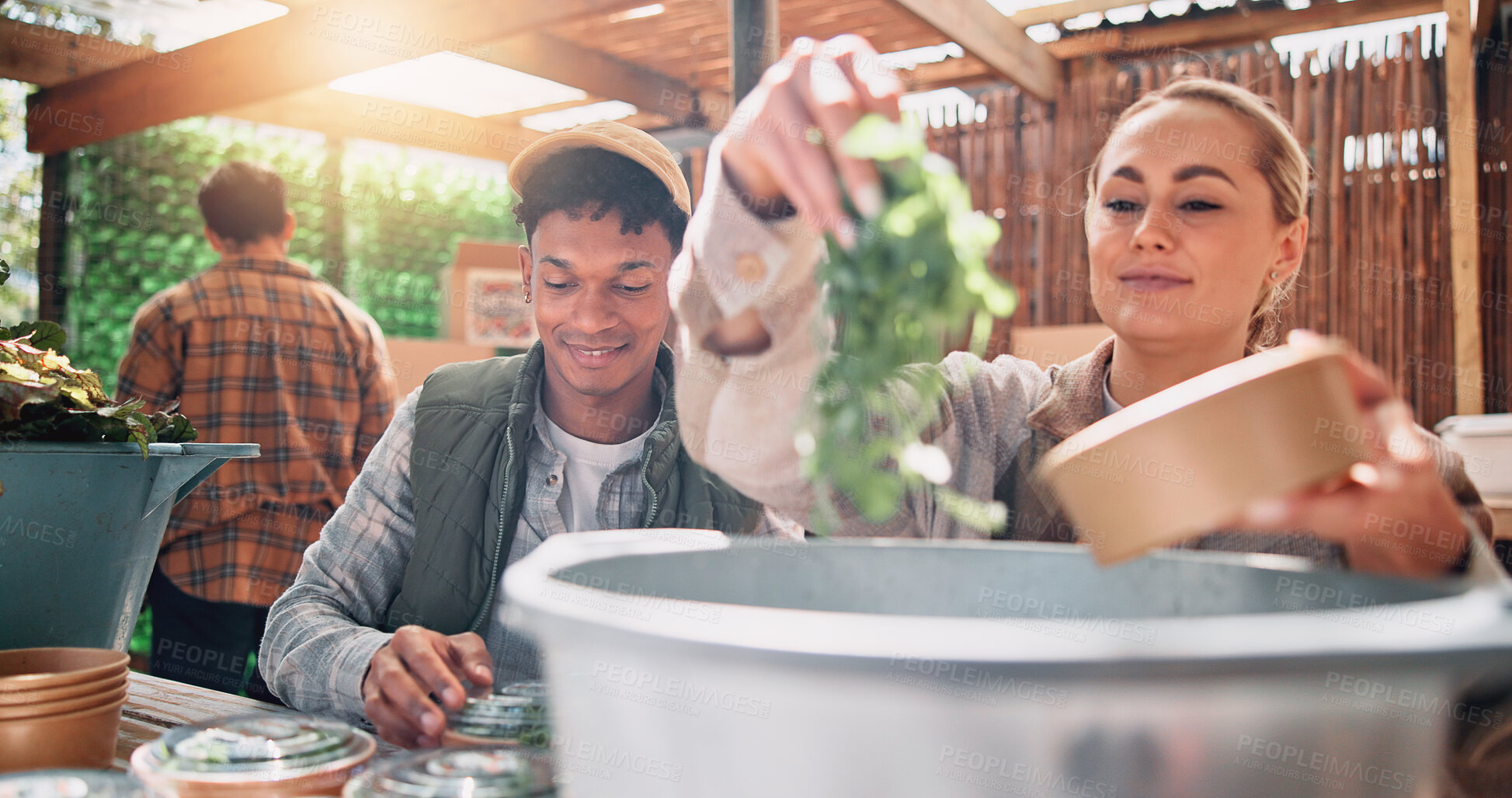 Buy stock photo Business, farm and people packing vegetables for supply chain, healthy produce and sustainable development. Farmer, teamwork and fresh product for food distribution, container package and agriculture