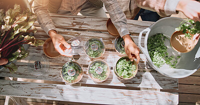 Buy stock photo Agriculture, hands and packaging vegetables in container for fresh produce, organic market and supply chain. Sustainable business, people and teamwork for food distribution, packing stock and above