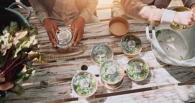 Buy stock photo Agriculture, hands and packaging produce in container for fresh harvest, organic market and supply chain. Sustainable business, people and teamwork for food distribution, packing inventory and above
