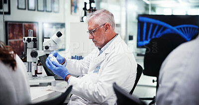 Buy stock photo Mature, scientist and man in lab with bottle, medical research or biology innovation for pharmaceutical label for study. DNA info, details or sticker on container with doctor for genetics future