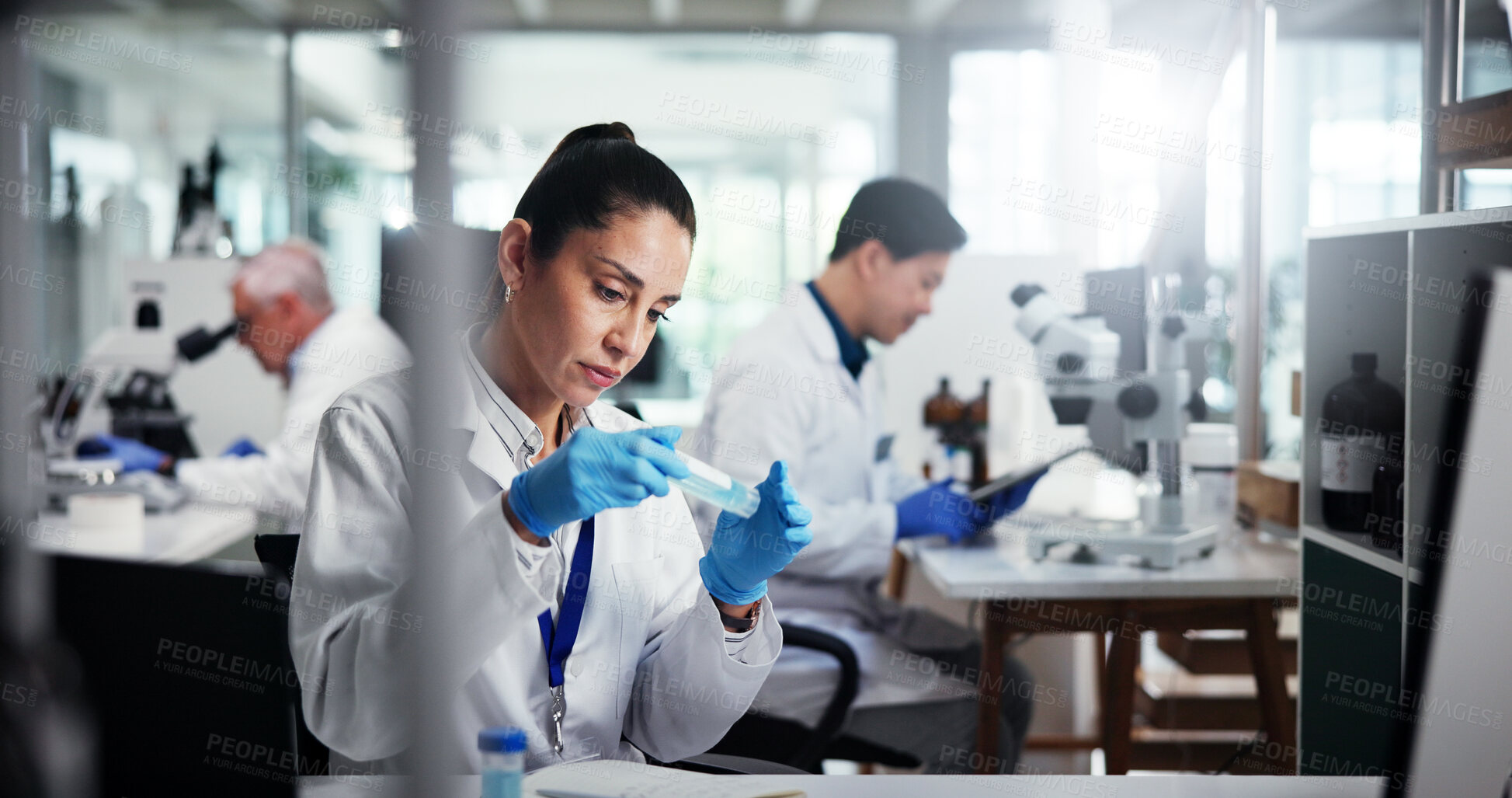 Buy stock photo Woman, scientist and sample with vial for medical research, exam or test results at laboratory. Female person, science or chemical compound with gloves for scientific trial, experiment or chemistry
