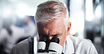 Mature man, scientist or forensic with microscope for bio research, new study or experiment. Male person, medical worker or employee with lens, micro organism or scientific breakthrough at laboratory