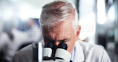 Buy stock photo Mature man, scientist or forensic with microscope for bio research, new study or experiment. Male person, medical worker or employee with lens, micro organism or scientific breakthrough at laboratory