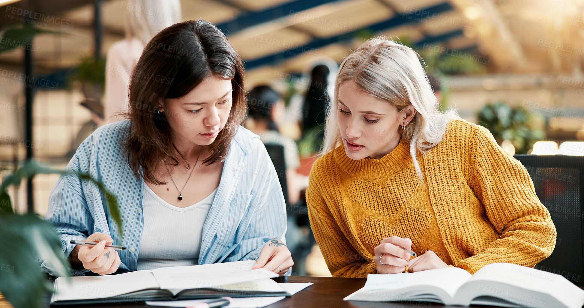 Buy stock photo College, teamwork and women in library reading book, project and assignment for help or support. Knowledge, learning and students studying with education for exam, scholarship and university test