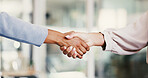 Deal, handshake and partnership with business people in office together for b2b agreement.  Meeting, thank you and welcome with employee team shaking hands in professional workplace for collaboration