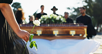 Buy stock photo Hand, rose and woman at graveyard for funeral ceremony, grief and memorial service outdoor with family. Flower, death and person by coffin at cemetery for mourning, peace and respect with back view
