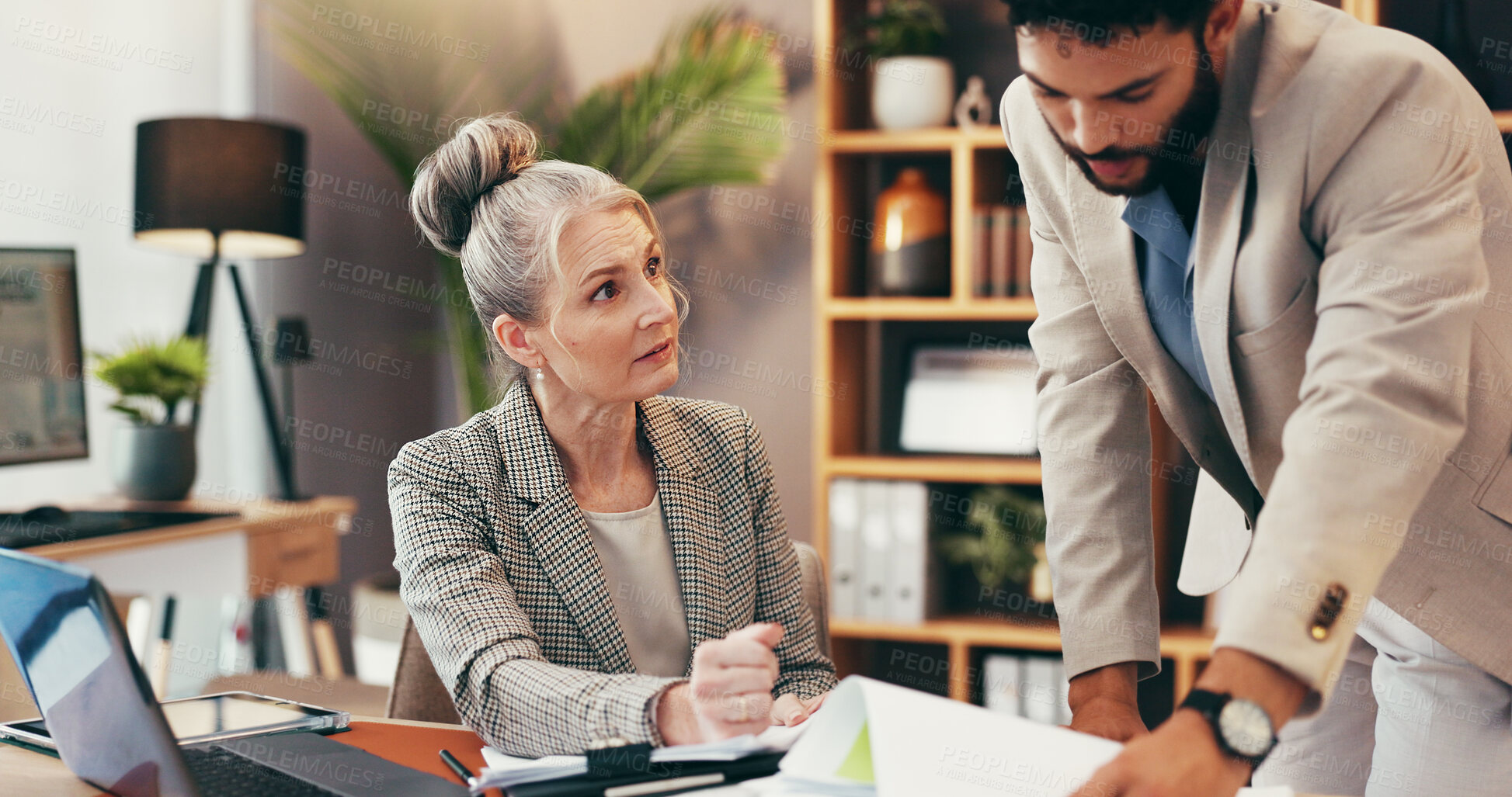 Buy stock photo Corporate, people and meeting with documents in office for legal consulting, planning and contact advice. Mature woman, attorney and paperwork for settlement, information and procedure for management