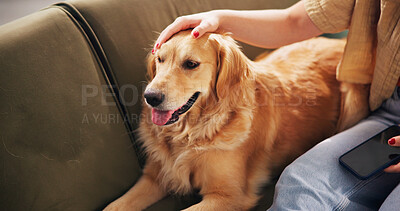 Buy stock photo Home, hand and person with dog on sofa for relaxing, chill and bonding together. Best friend, animal care and owner with Golden Retriever on couch for support, love and comfortable on weekend