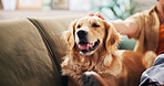 Home, happy and person with dog on sofa for relaxing, chill and bonding together. Best friend, animal care and owner with Golden Retriever on couch for support, love and comfortable on weekend